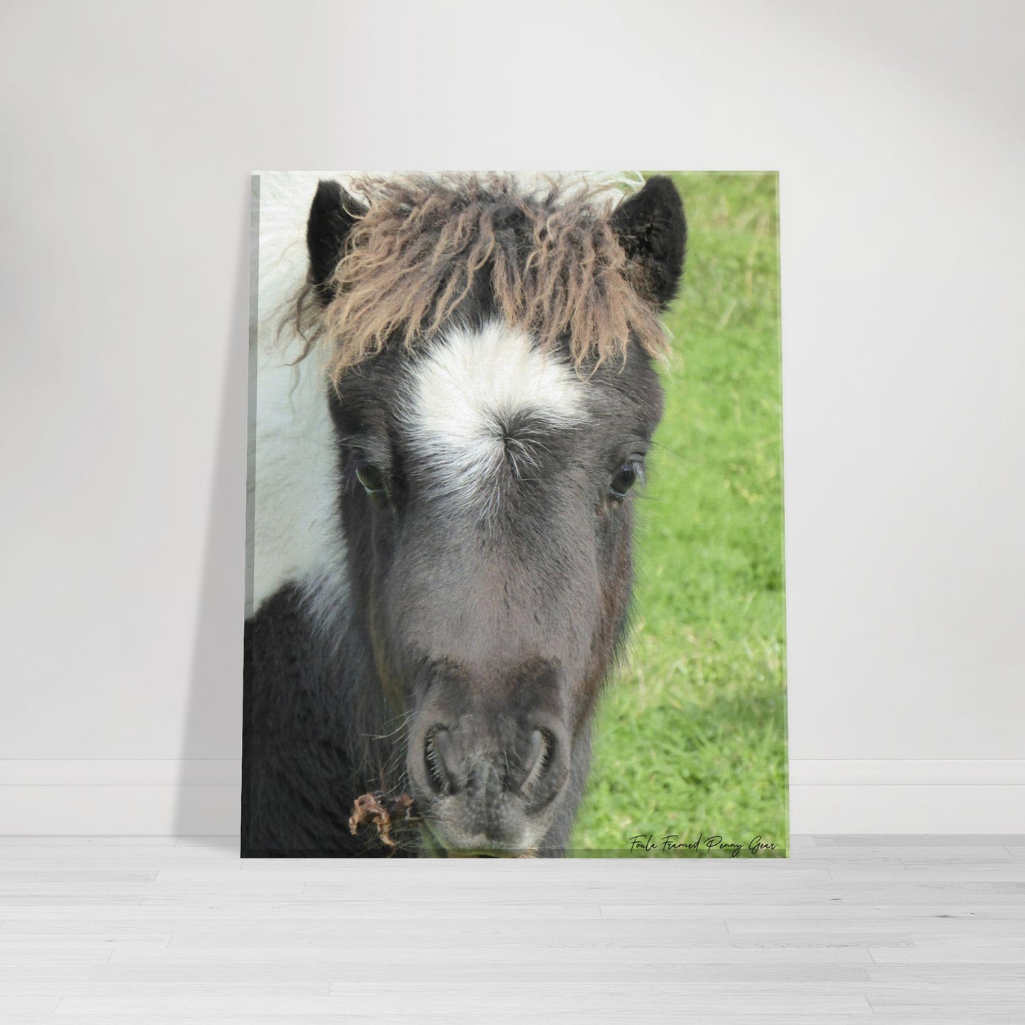 Canvas 8" x 10" Calloo