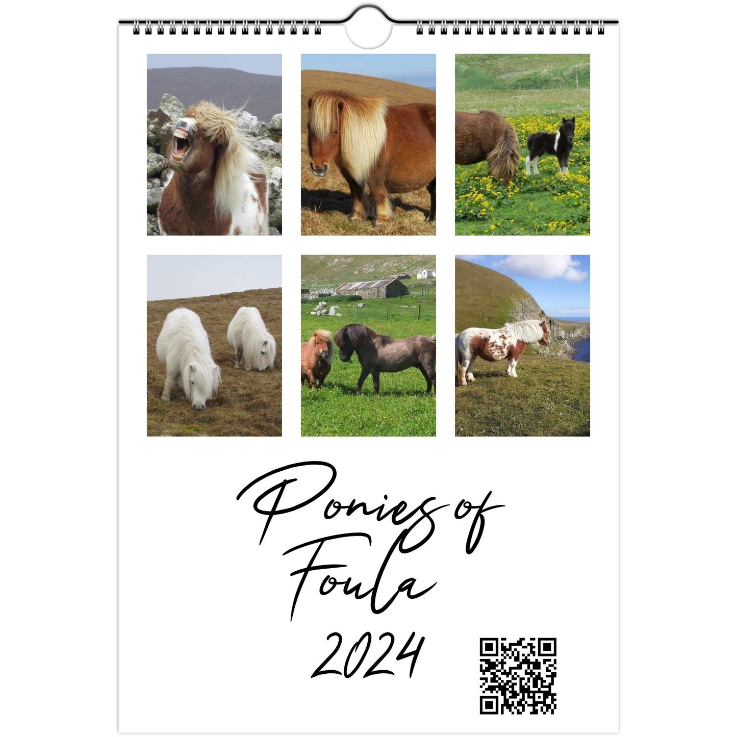 Wall calendars Ponies of Foula 2024 Europe, Asia, Latin America and Oceania
