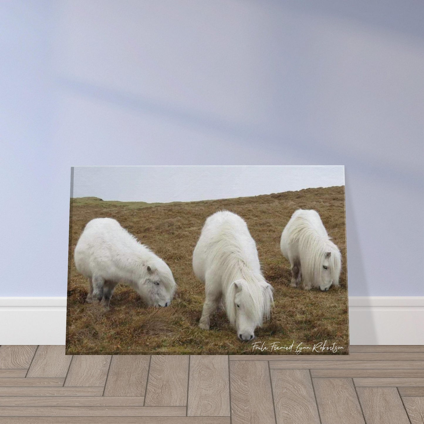 a Canvas 8x12" Sisters