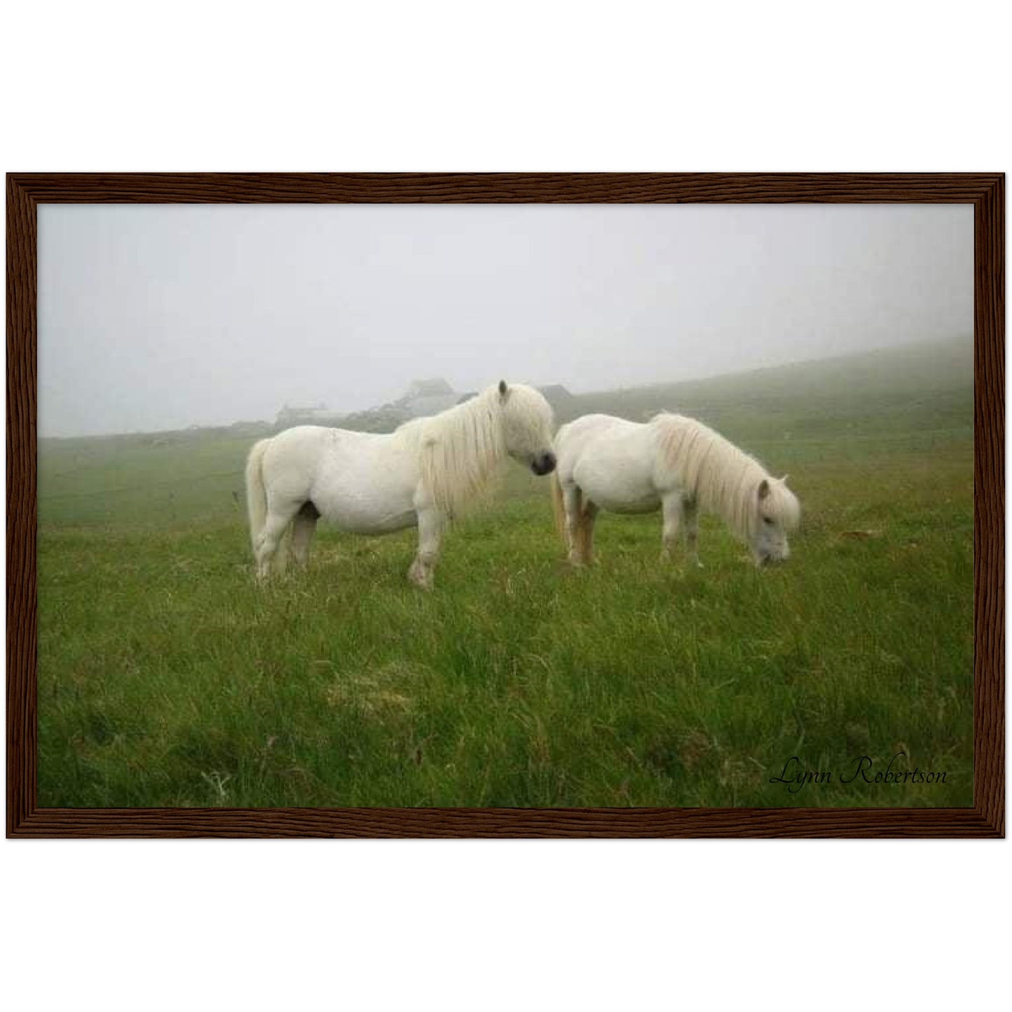 Misty Days Wooden Framed Print 12" x 18"