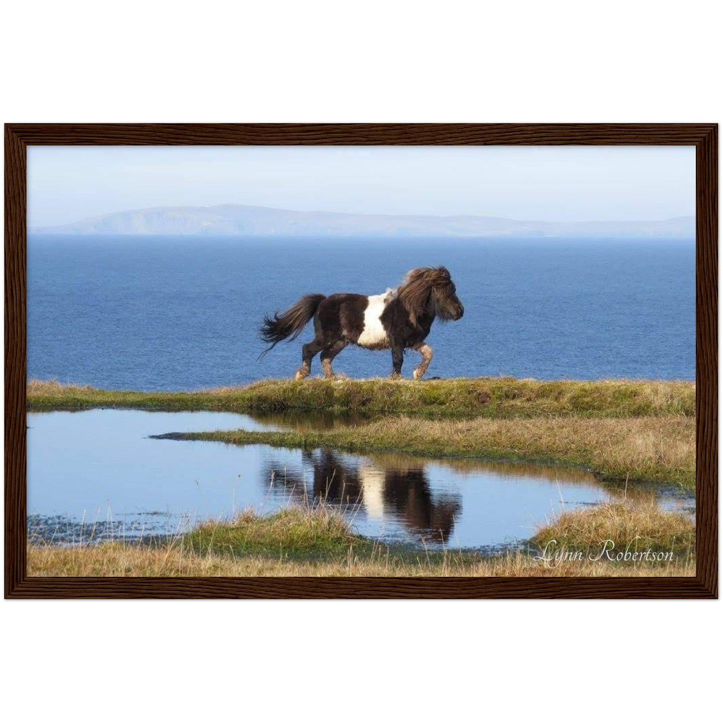 Neptune Reflected Wooden Framed Print 12" x 18"