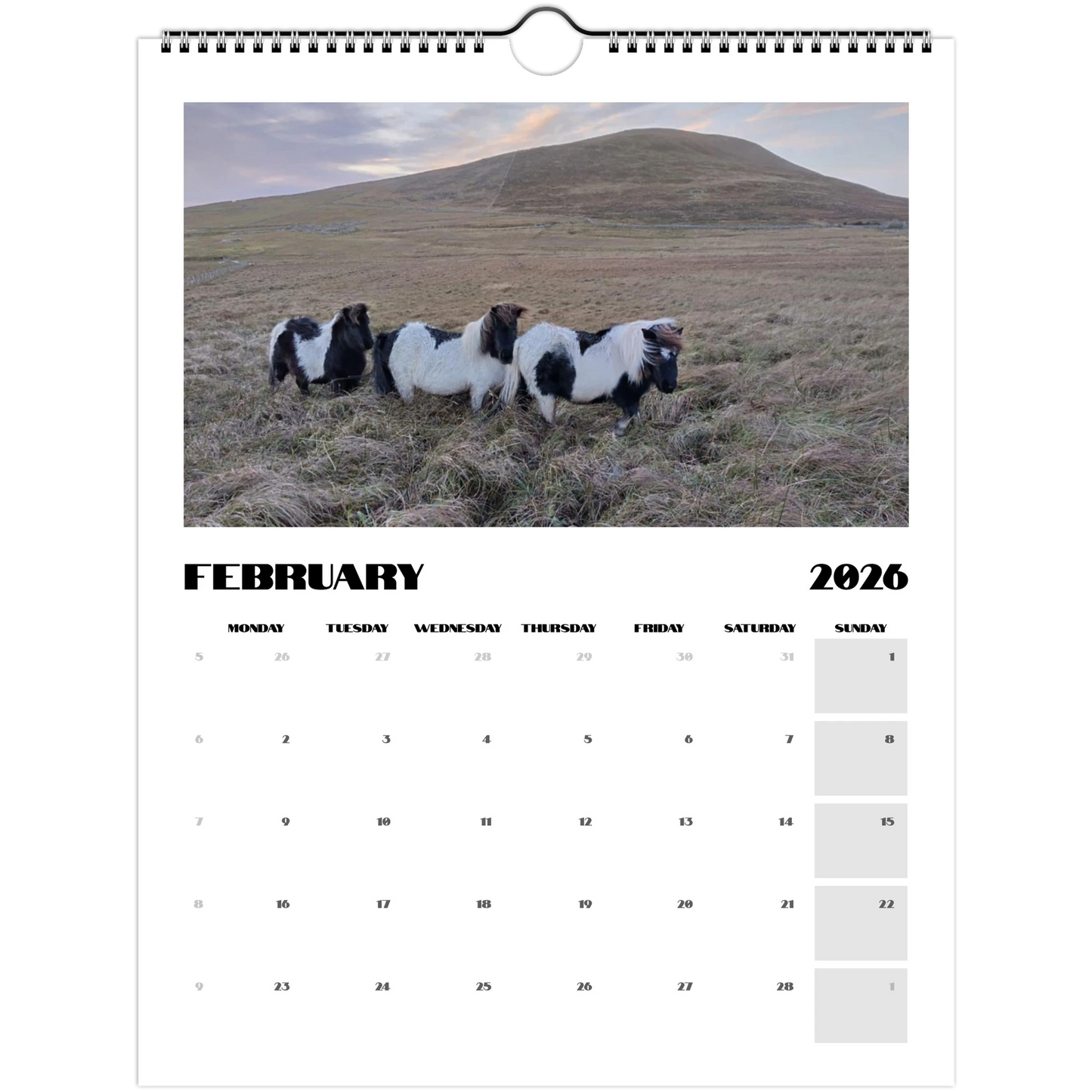 23aec796-bb57-4b8c-b23e-c7ad55719037