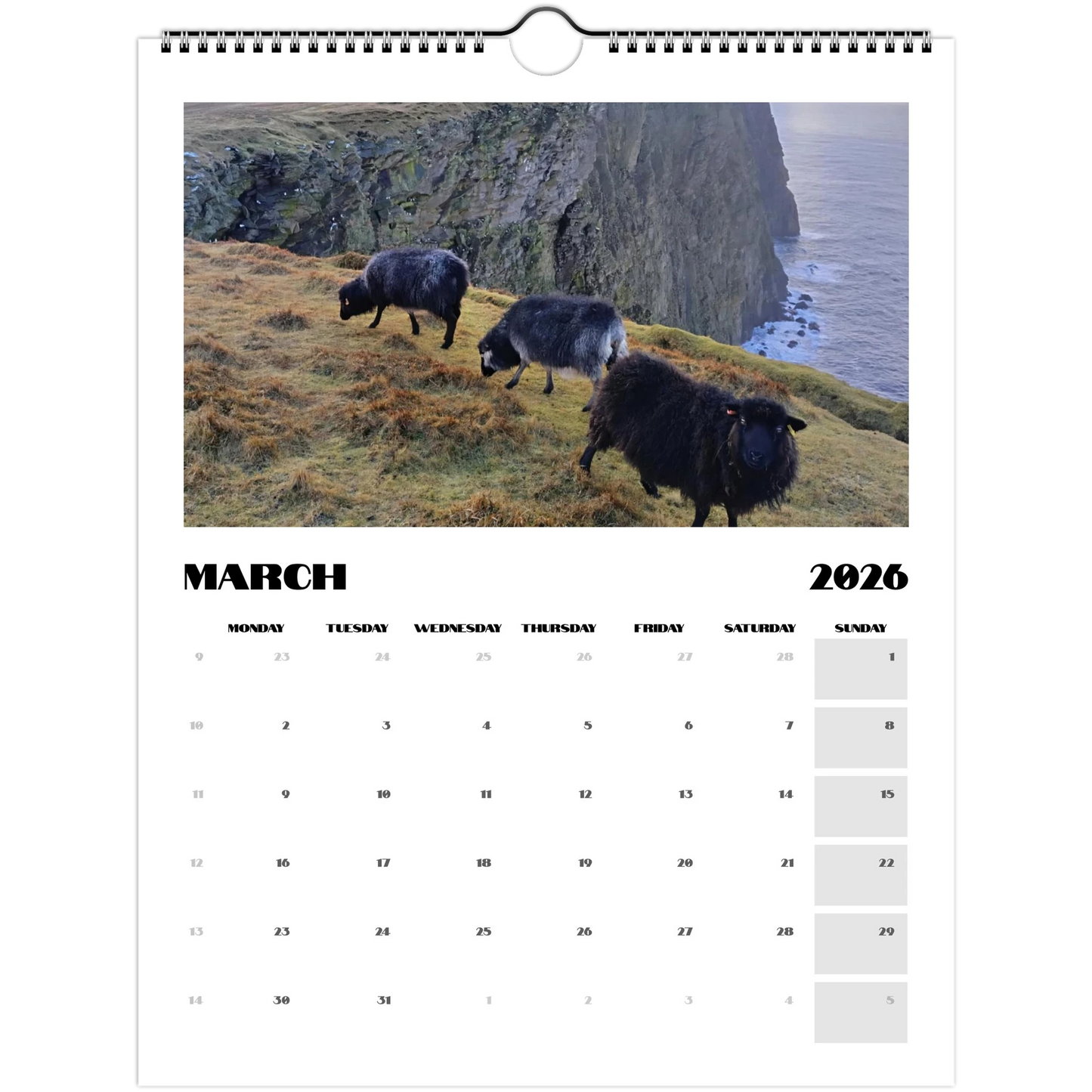 29d836f0-a277-4e90-baa5-0a991b950e3e