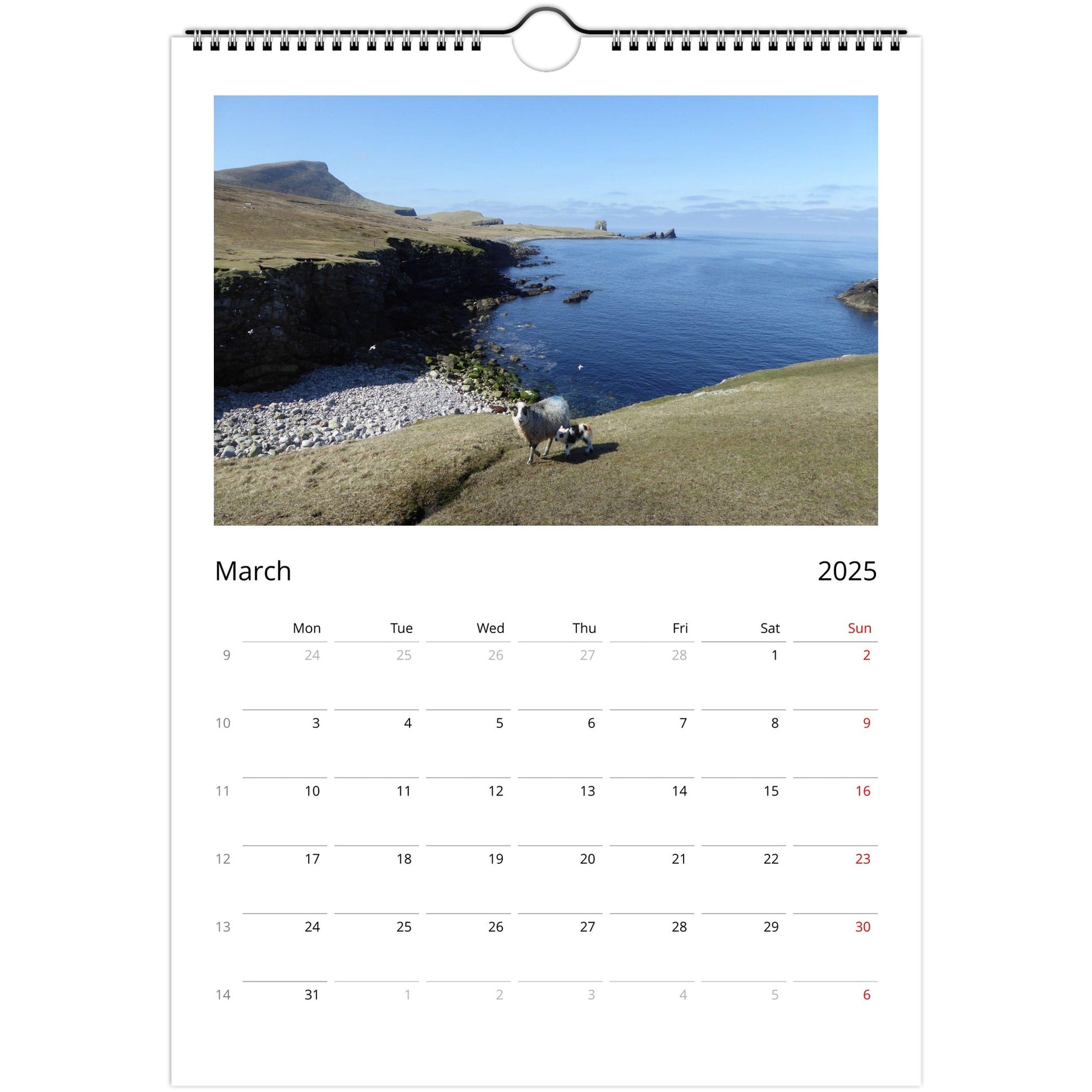 29e8668b-ceb6-4f87-b31f-f1a5ba5e68f9