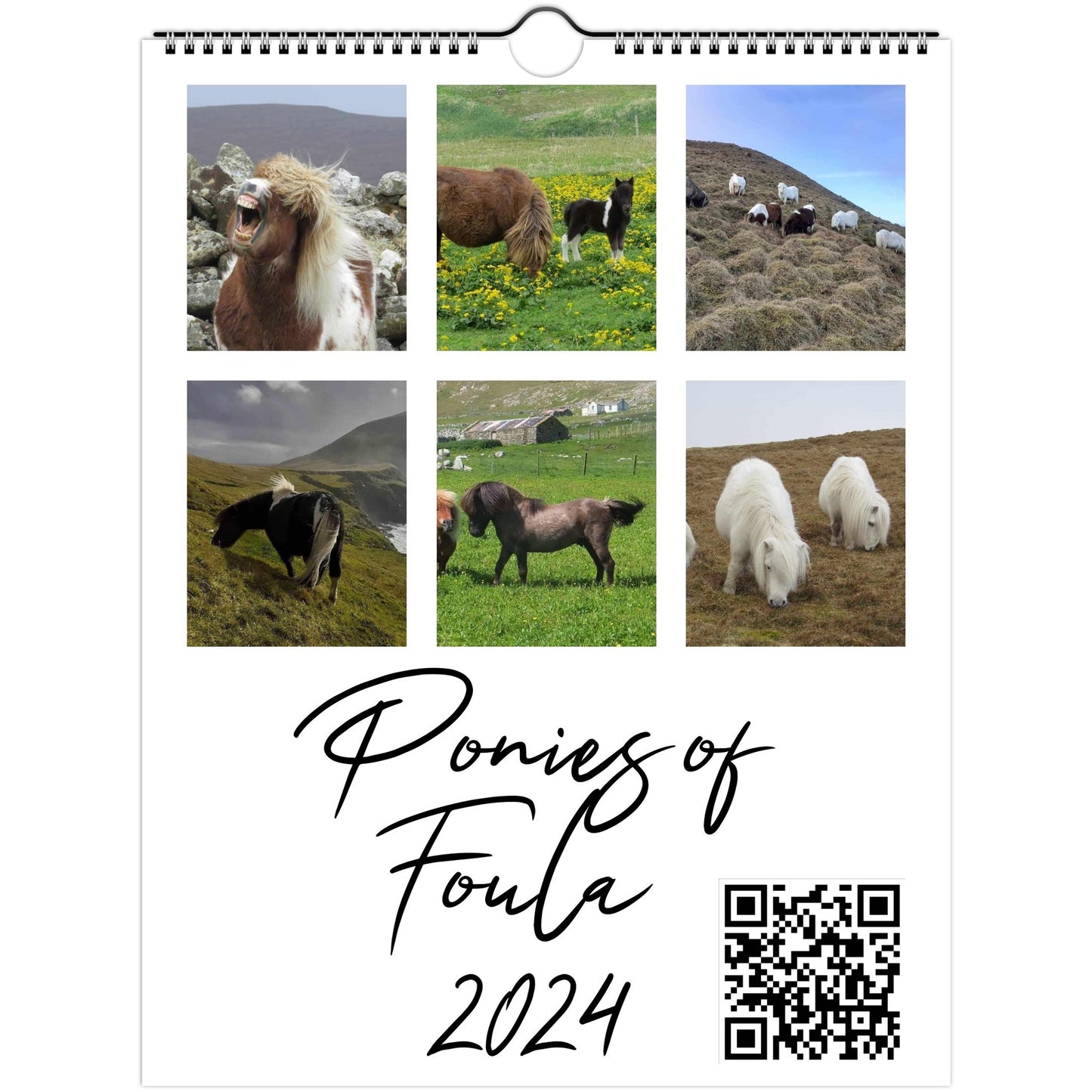 Wall calendars (US & CA) 2024 Ponies of Foula