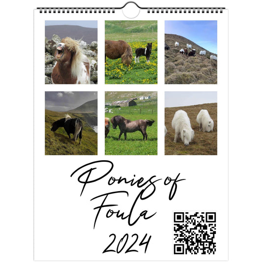 Wall calendars (US & CA) 2024 Ponies of Foula