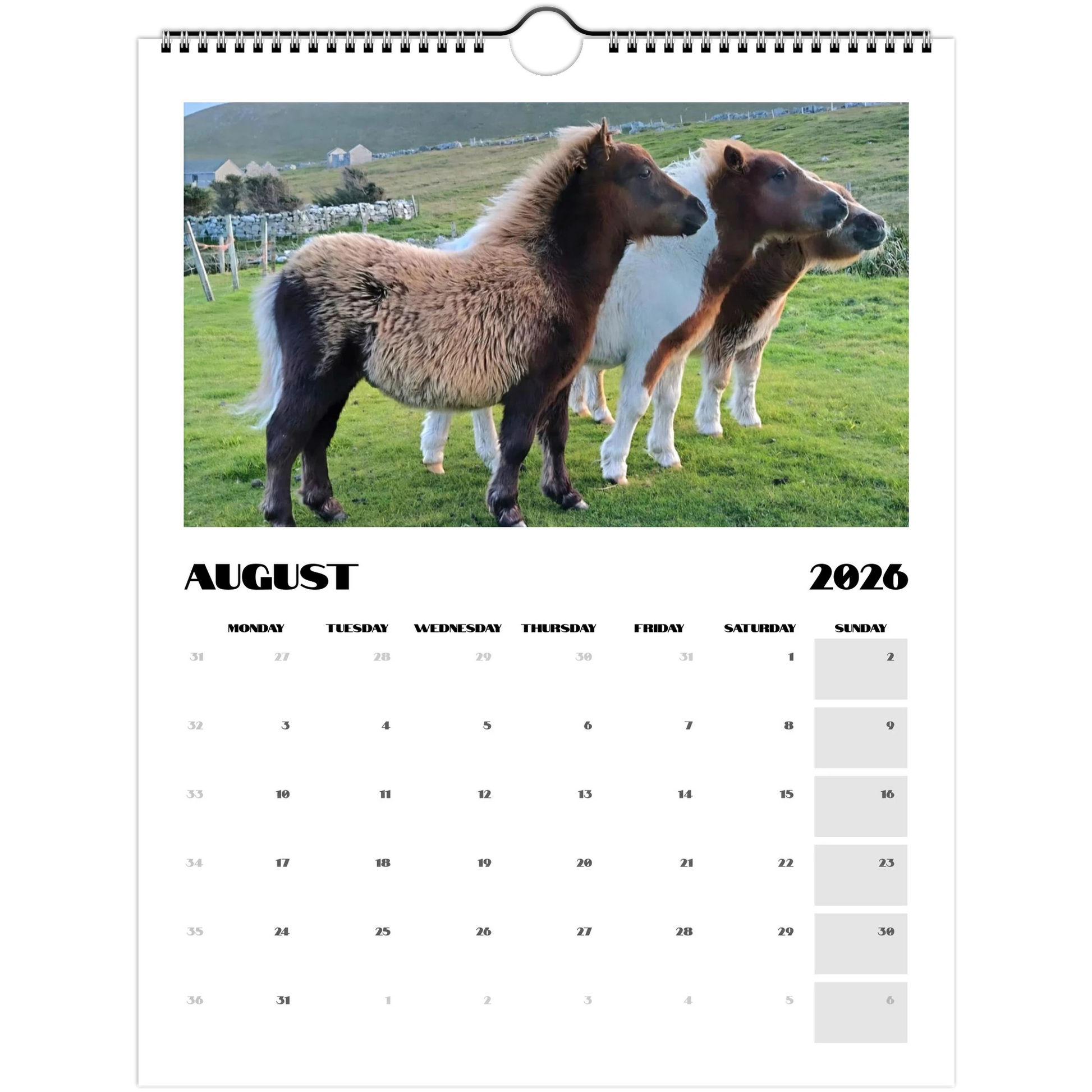 5218c8a5-8dc1-47f9-ab5a-14fa4cc17ac5