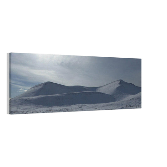 5667115f-f469-4896-bccd-591f0eb2445c