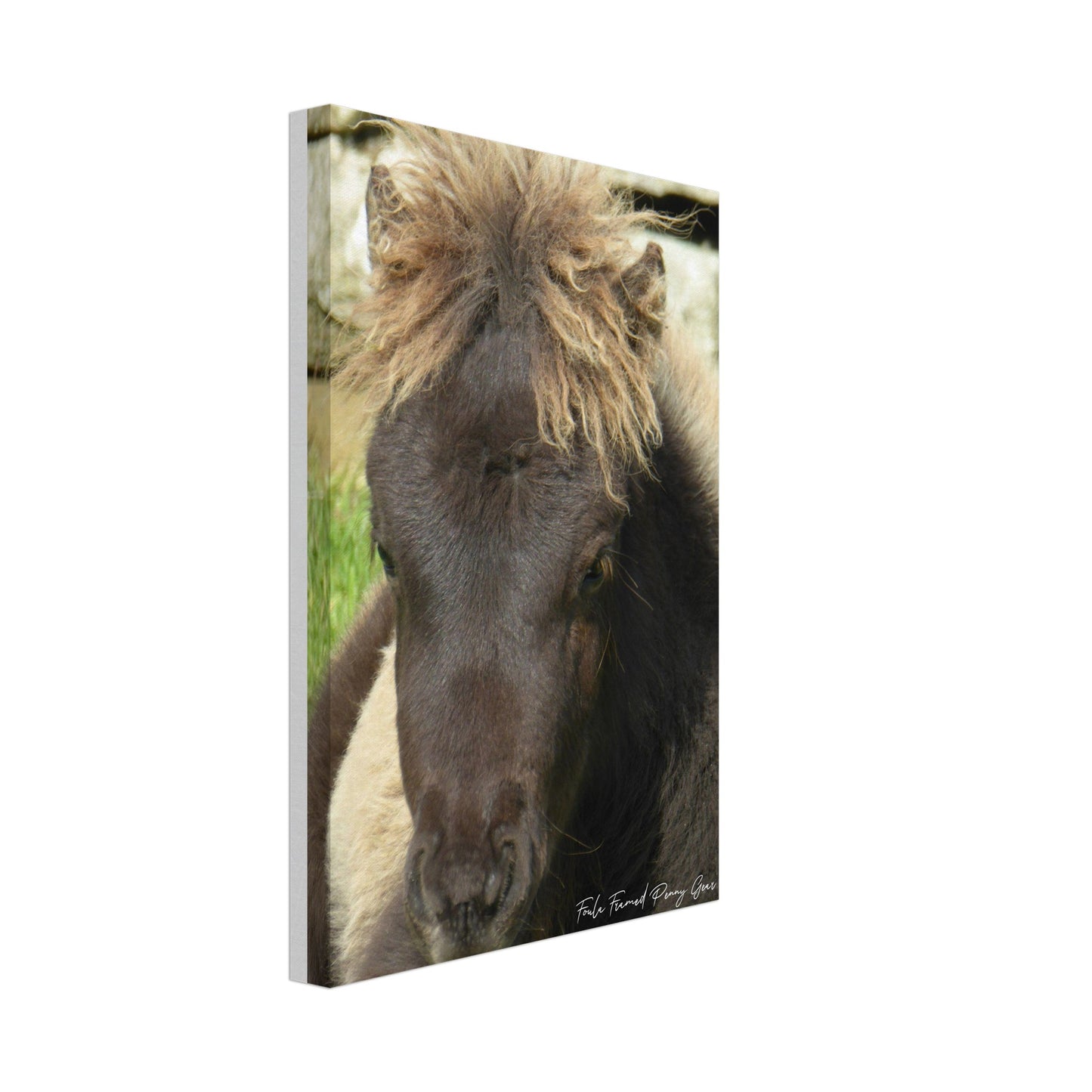Canvas 8"x12" Cosy