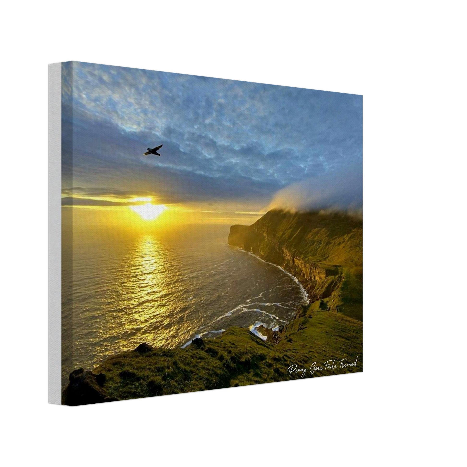 79090e1f-433e-4fd6-a4e2-548cfcdc23a6