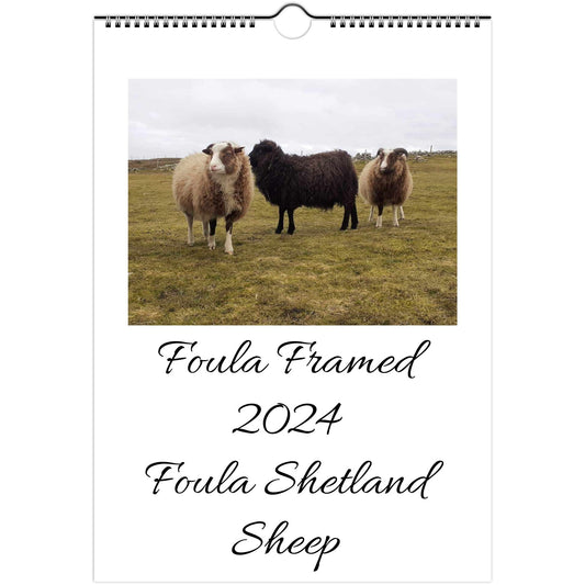 Wall calendars 2024 Europe, Asia, Oceania and Latin America Foula Shetland Sheep