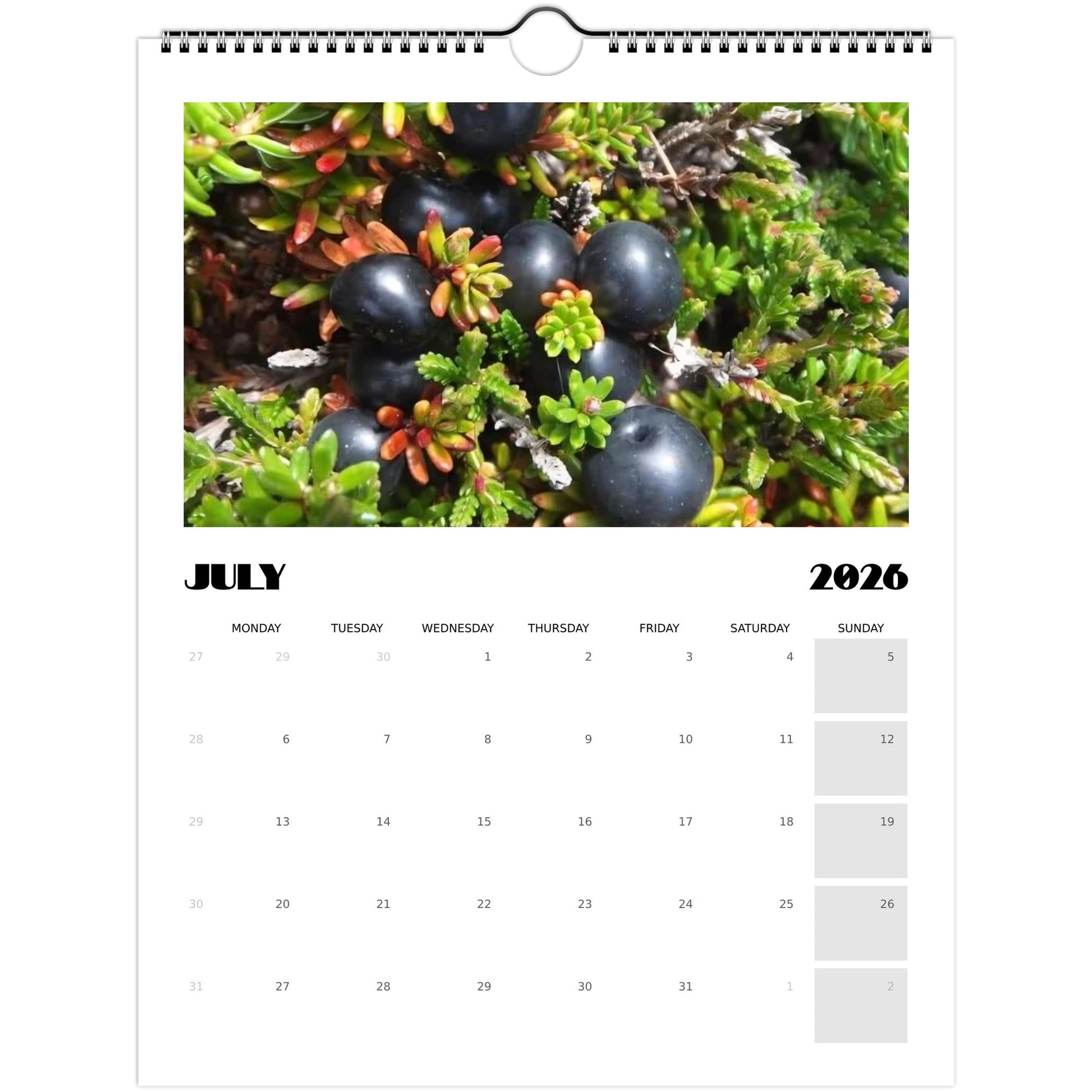 8b247ca6-78ab-4a16-91e7-0228a9efea10