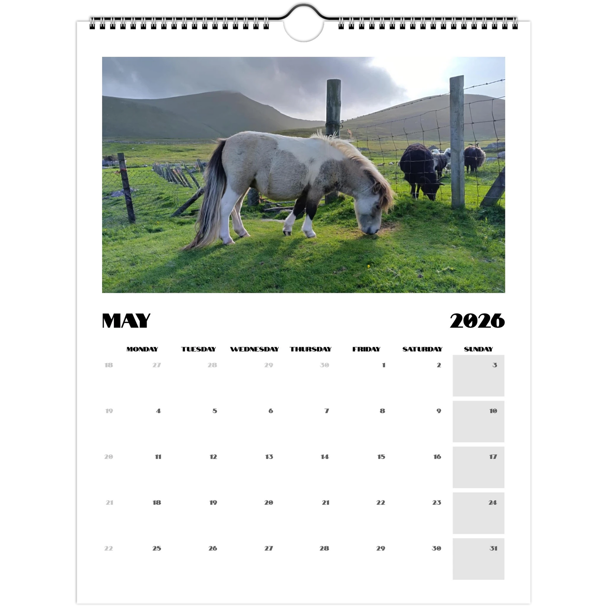 9d265f8b-c4ca-4439-b979-253dae494e48