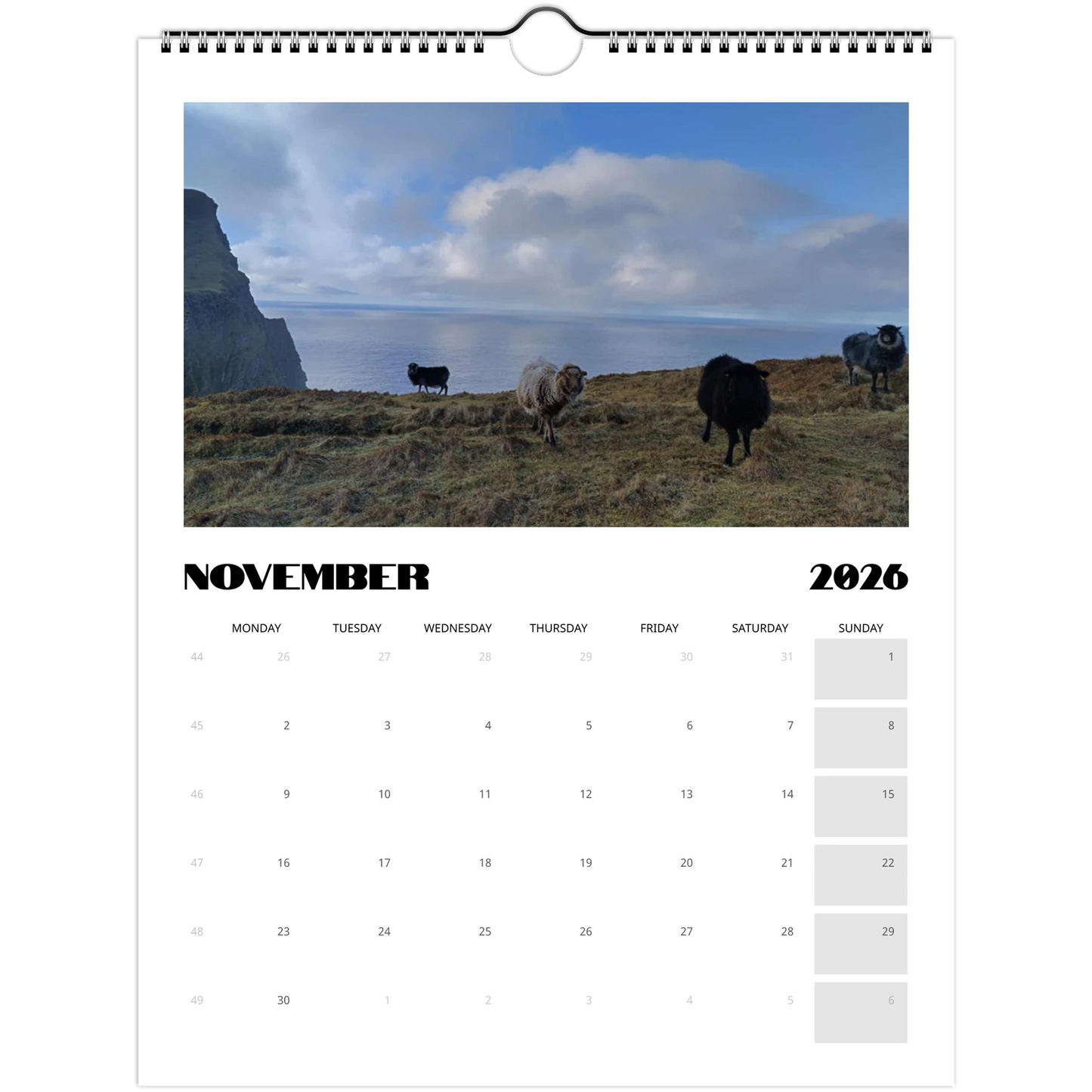 bf91688e-9d1a-4c8d-be35-e1b9f0b27c44