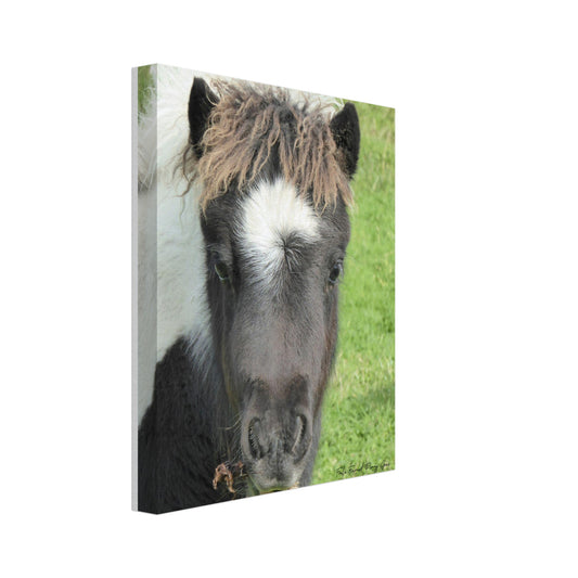 Canvas 8" x 10" Calloo