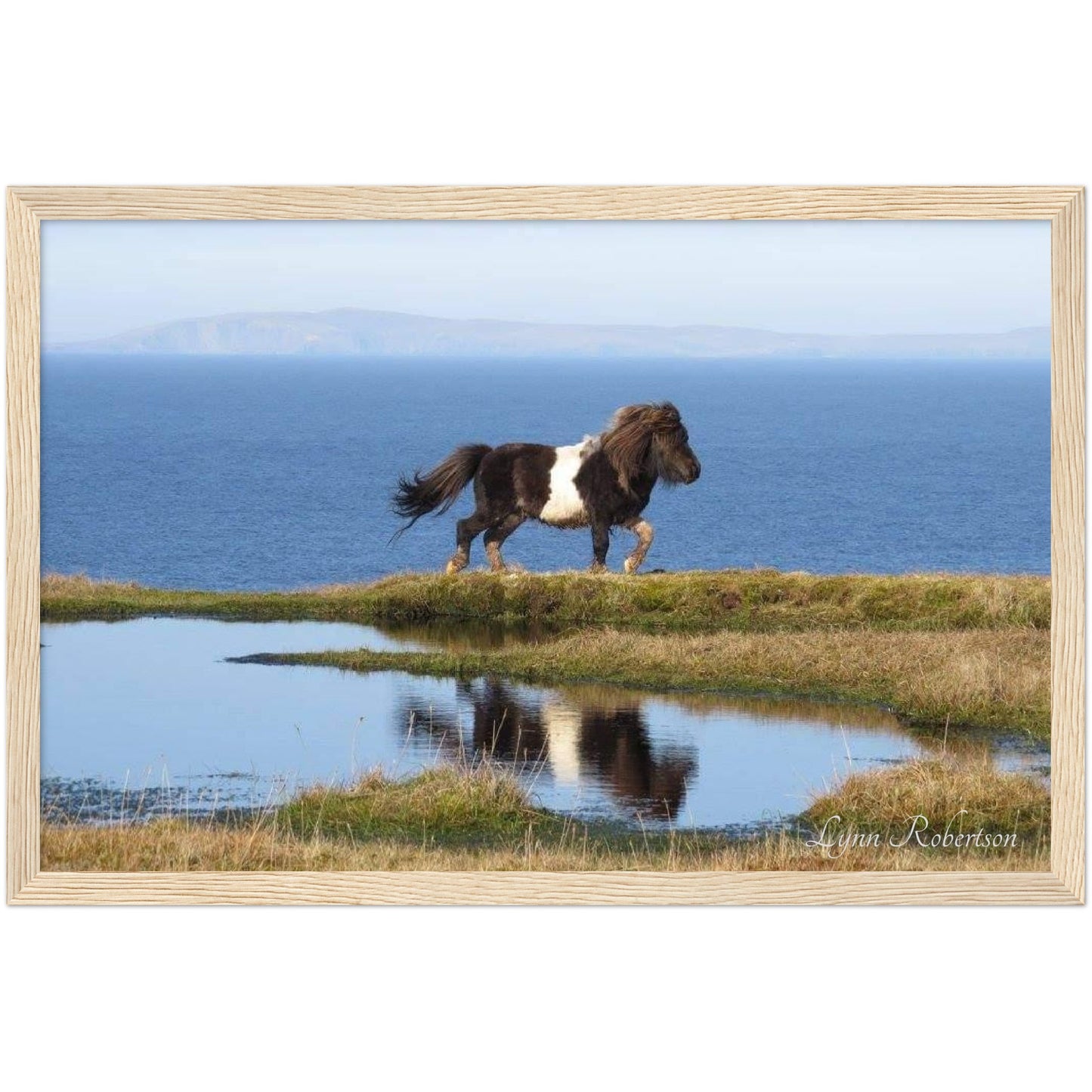 Neptune Reflected Wooden Framed Print 12" x 18"