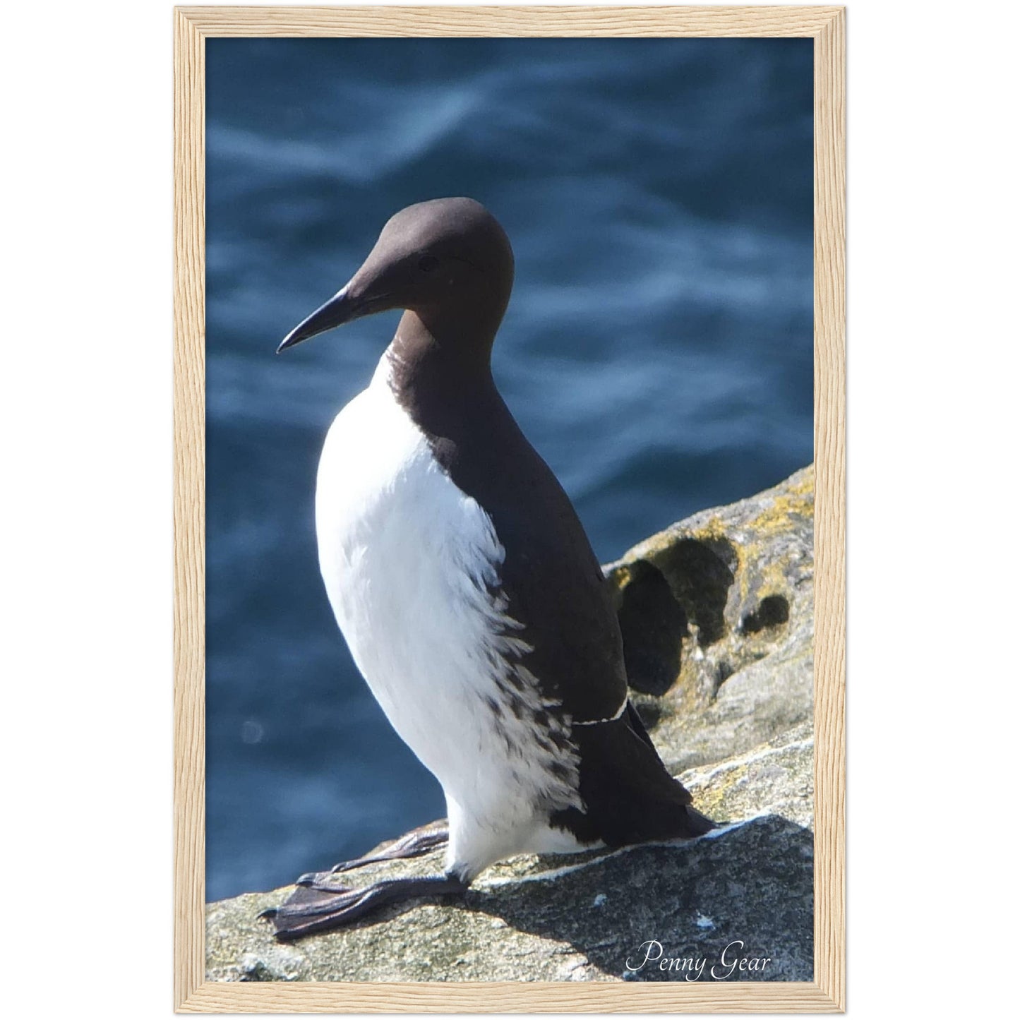 Bird Watching Wooden Framed Print 12" x 18"