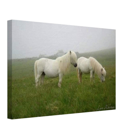 Misty Day Canvas 12" x 18"