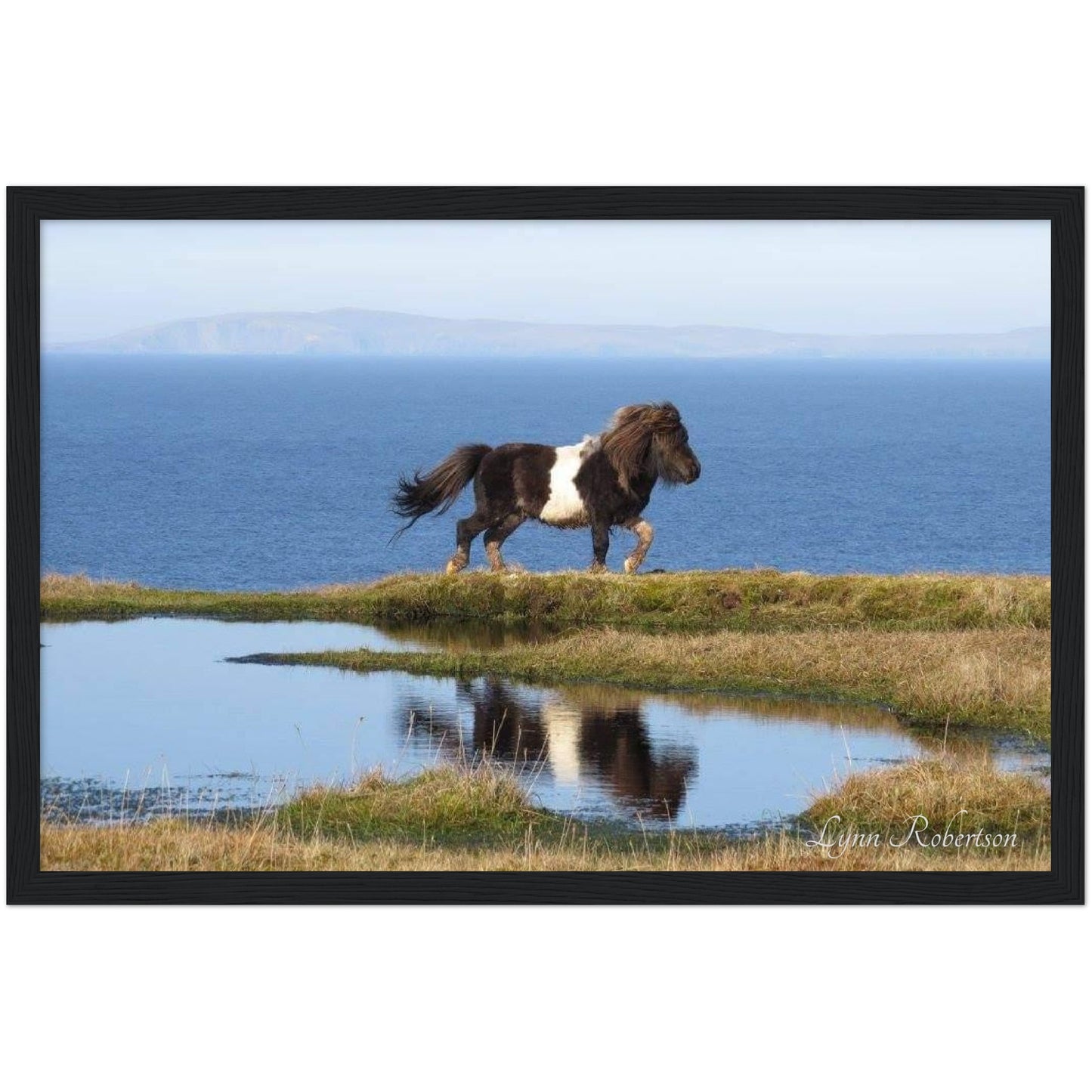 Neptune Reflected Wooden Framed Print 12" x 18"