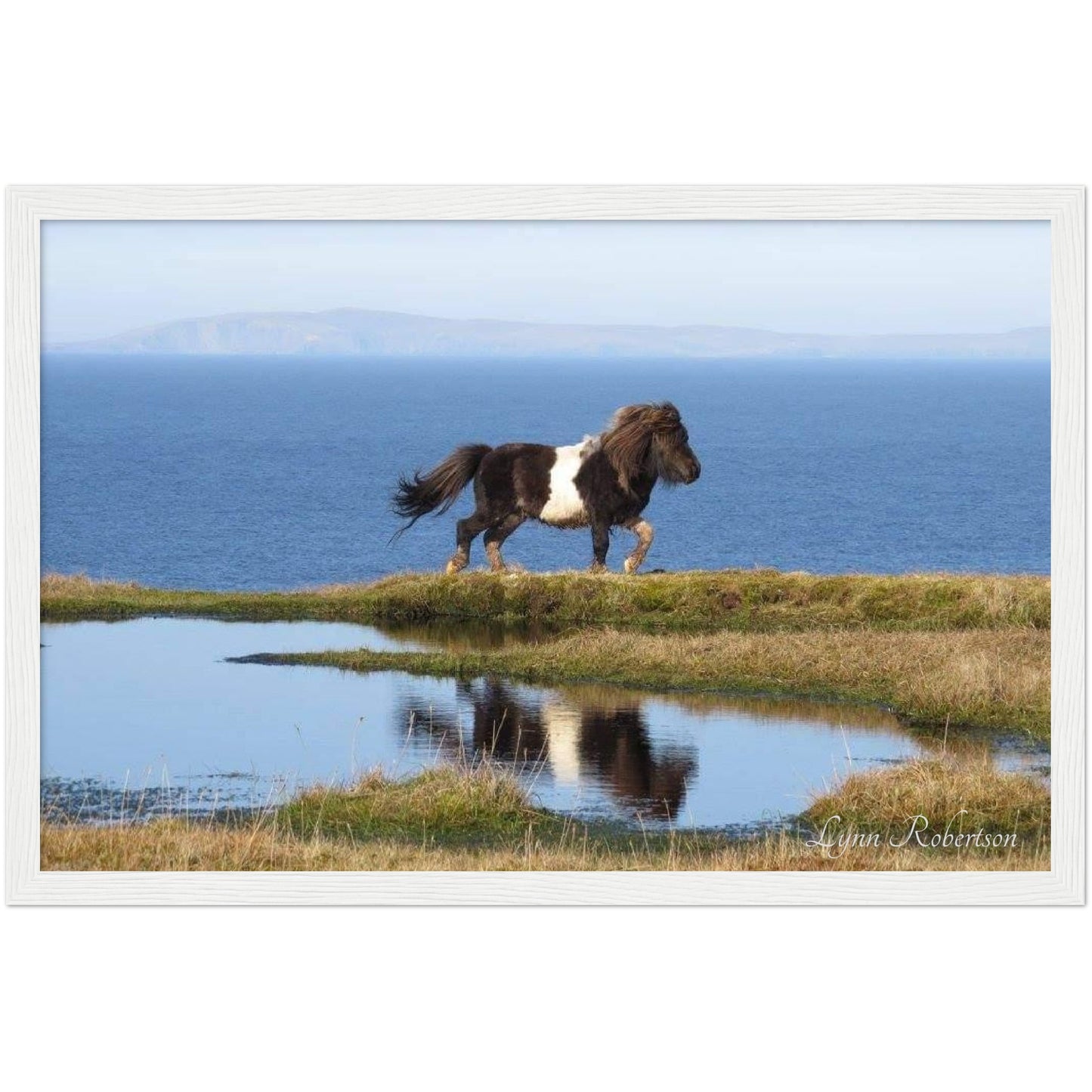 Neptune Reflected Wooden Framed Print 12" x 18"