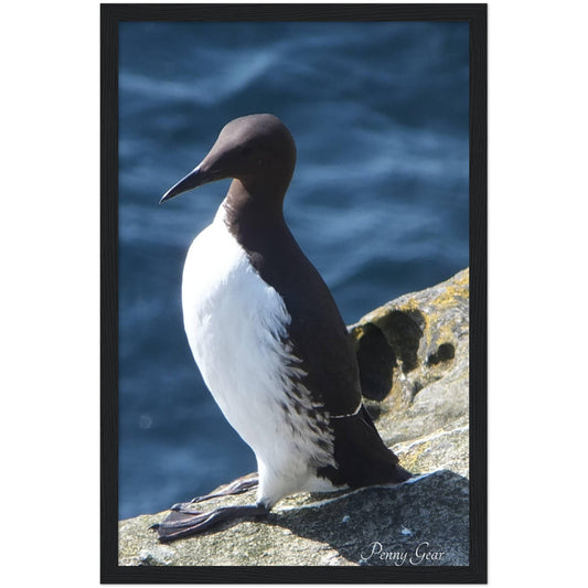 Bird Watching Wooden Framed Print 12" x 18"