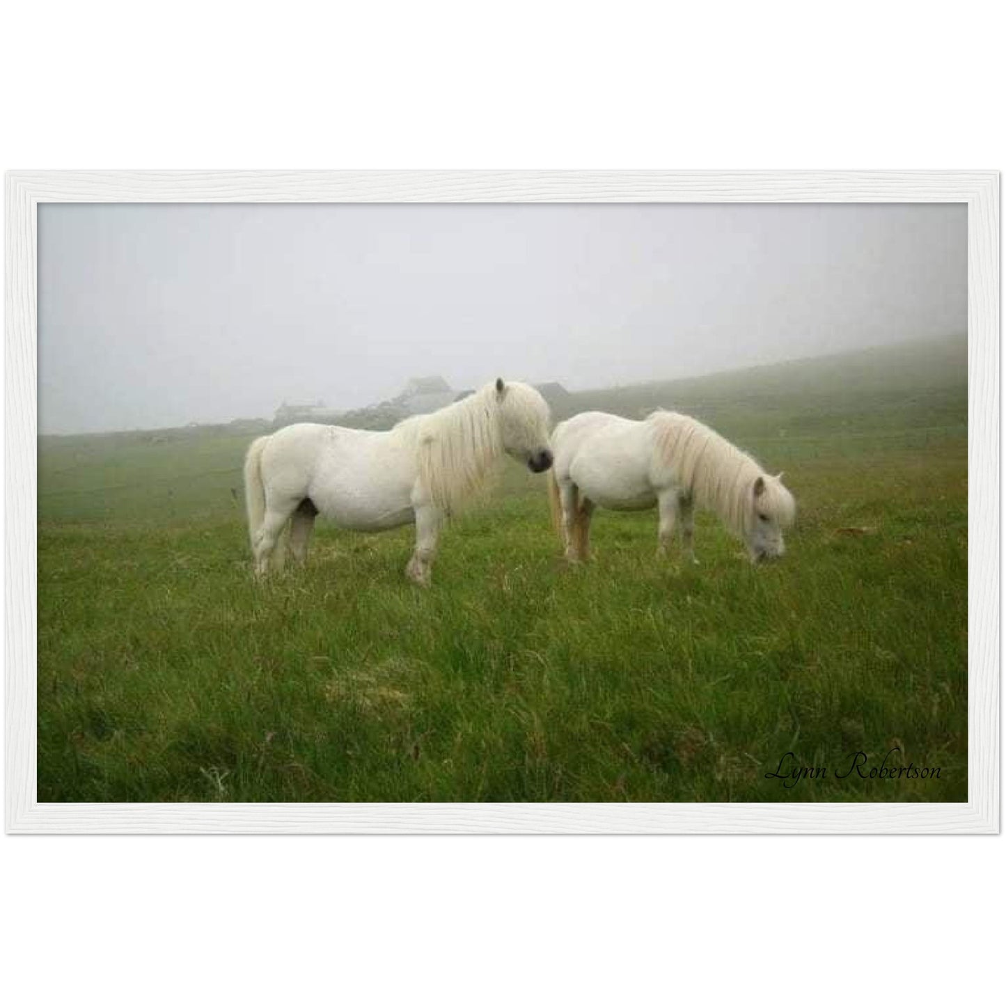 Misty Days Wooden Framed Print 12" x 18"